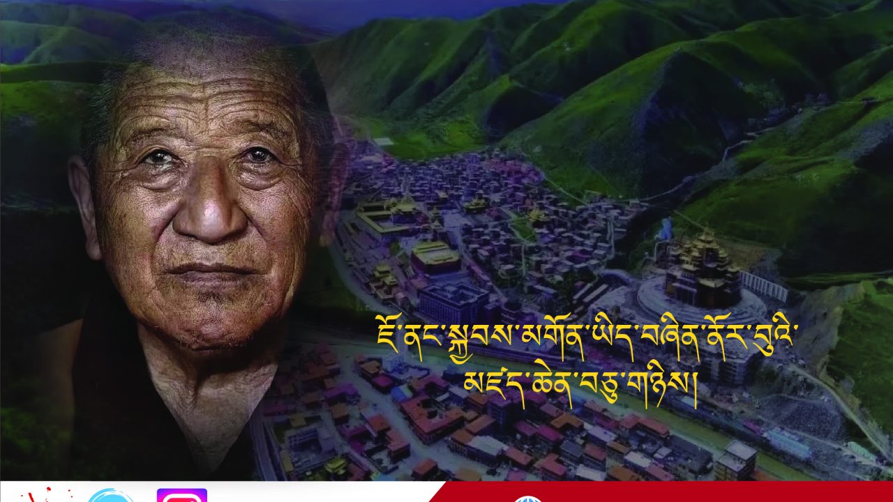 ཇོ་ནང་སྐྱབས་མགོན་ཡིད་བཞིན་ནོར་བུའི་མཛད་ཆེན་བཅུ་གཉིས།