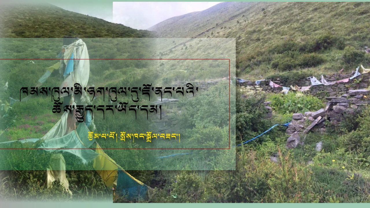 ཁམས་མི་ཉག་ཁུལ་དུ་ཇོ་ནང་པའི་ཆོས་རྒྱུད་དར་ཡོད་དམ།