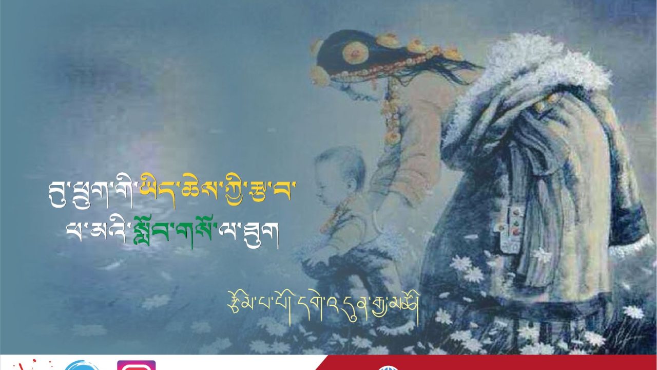WhatsApp Image 2025-10-29 at 10.59.49 AM